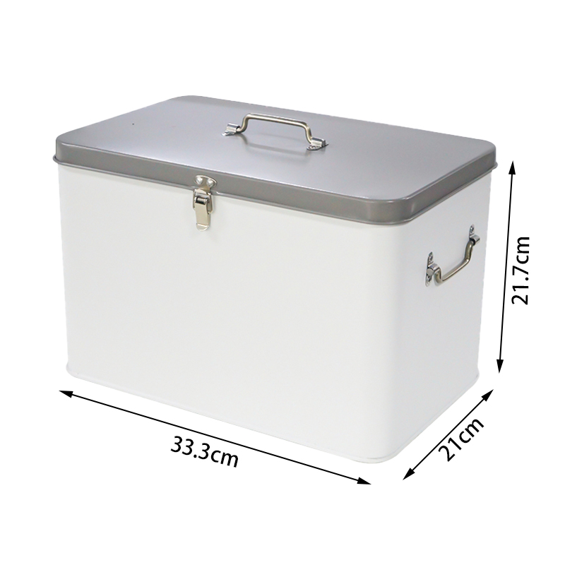 Large Capacity Storage Box Wit - огляд і ціна Food Storage Locker
