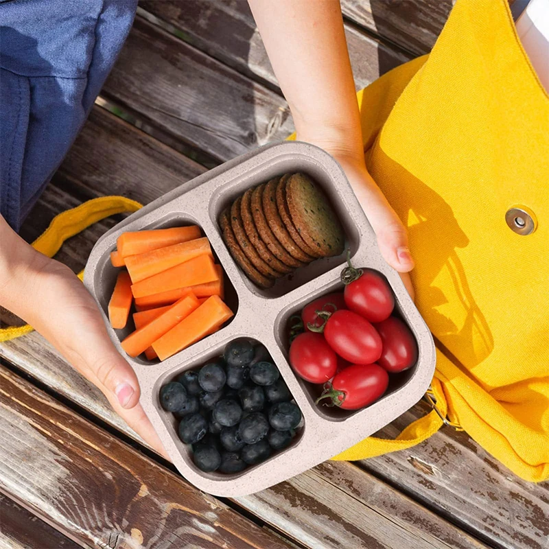 4 Grids Food Storage Box Porta - огляд і ціна Food Storage For Refrigerator